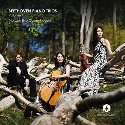 Ludwig van Beethoven: Piano Trios Volume II - Musique & Instruments Amazon Royaume-Uni à 4.42€