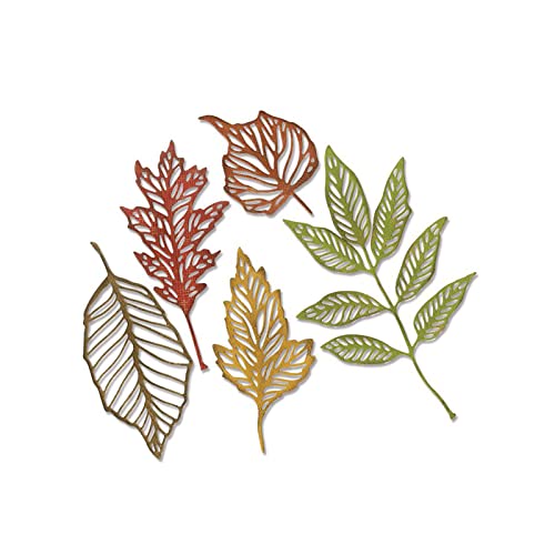 Sizzix Thinlits Die Set 5PK Skeleton Leaves di Tim Holtz - Maison & Cuisine Amazon Italie à 18.74€