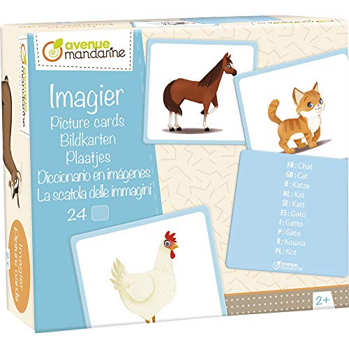 MY MANDARINE JE513C - un jeu éducatif de 24 cartes... - Jouets & Jeux Amazon France à 14.52€