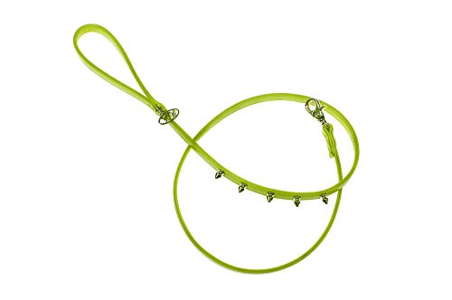 Trilly Tutti Brilli Hundeleine mit Nieten, Apfelgrün, 20... - Pet Supplies Amazon Germany à 10.18€