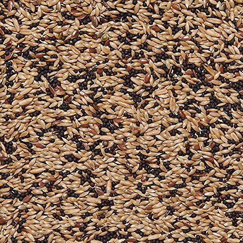 ITALMIX CANARINI Super Mangime per Canarini Sfuso in conf.... - Animalerie Amazon Italie à 4.00€