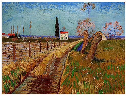 ArtPlaza Van Gogh Vincent-Path Through a Field with Willows... - Maison & Cuisine en promo à 85.06€