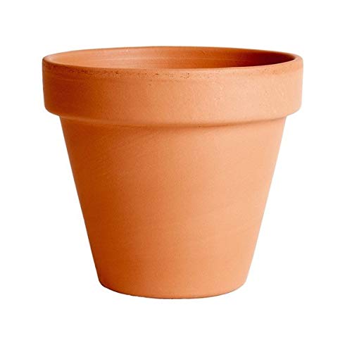 Maceta de Barro de 9 cm de diametro - Jardin & Extérieur Amazon Espagne à 1.20€