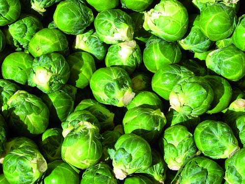 CAVOLO DI BRUXELLES NR.300 SEMI - Jardin & Extérieur Amazon Italie à 1.99€