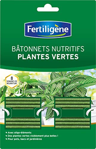 FERTILIGENE BATONNETS NUTRITIFS PLANTES VERTES FBPV - Sports & Fitness Amazon Allemagne à 4.44€