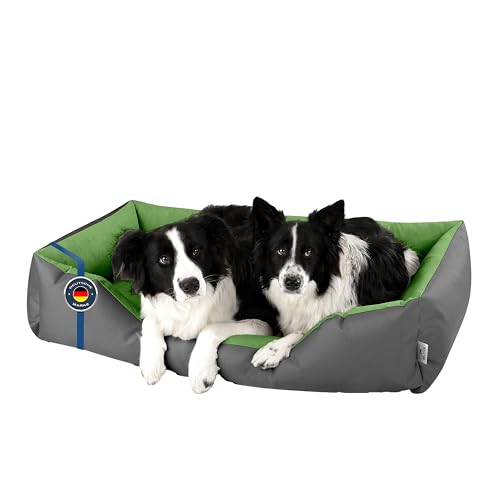 BedDog Lit pour Chien XXL - Orelier - Panier - Canapé... - Maison & Cuisine Amazon France à 31.80€