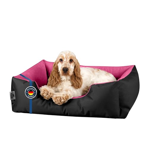 BedDog Hundebett M - Hundekissen - Hundekorb - Hundecouch... - Maison & Cuisine Amazon Allemagne à 22.28€
