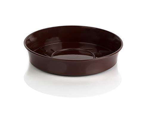 Kimmel Plant Pot Saucer Diameter 8 cm Brown Small - Jardin & Extérieur Amazon Royaume-Uni à 1.89€