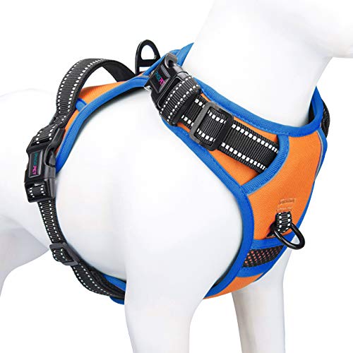 PHOEPET Arnés antitirones para Perros medianos, 2019... - Maison & Cuisine Amazon Espagne à 19.11€