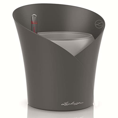 Lechuza – Pot pour Orchidée – Orchidea – Réserve d'Eau... - Maison & Cuisine Amazon France à 17.99€