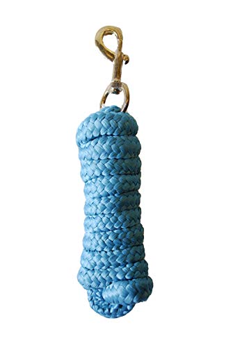 Rhinegold Luxe Lead Rope, Turquoise - Sports & Fitness Amazon Royaume-Uni à 11.34€