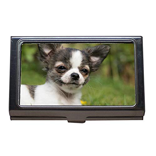 Business Card Holder,Chihuahua Dog Puppy Baby Play Young... - Bébé & Puériculture Amazon Royaume-Uni à 6.99€