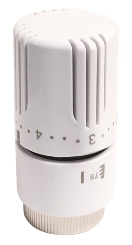 SOMATHERM FOR YOU - Testa termostatica M30x1,5 - Amazon Italie à 16.75€