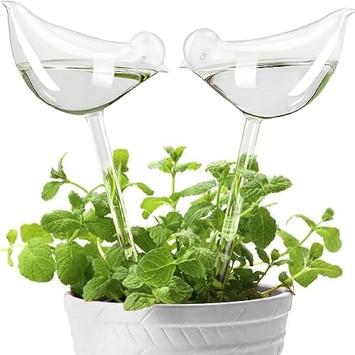 REUUY KiKiHeim Globos de riego automático para Plantas... - Garden & Outdoor Amazon Spain à 12.47€