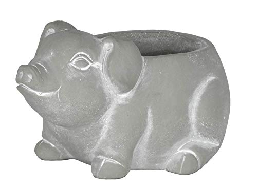 Classic Home and Garden Pot de Fleurs, Naturel, L - Jardin & Extérieur Amazon France à 12.29€