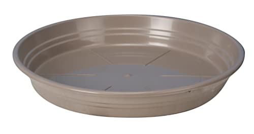 Soucoupe Ronde, 17 Diamètre, Taupe - Jardin & Extérieur Amazon France à 2.10€