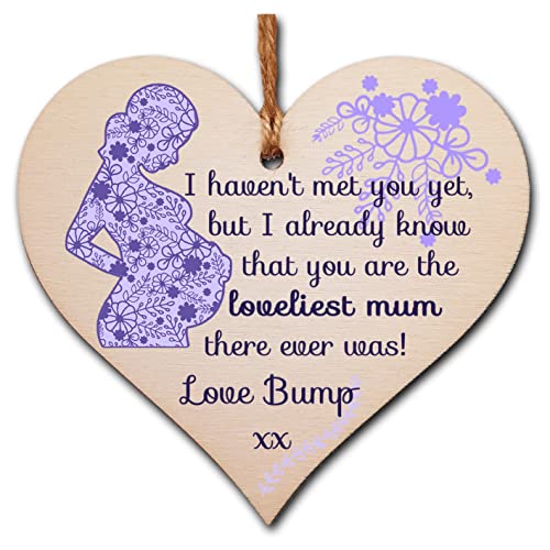 The Plum Penguin Handmade Wooden Hanging Heart Plaque... - Bébé & Puériculture Amazon Royaume-Uni à 2.00€
