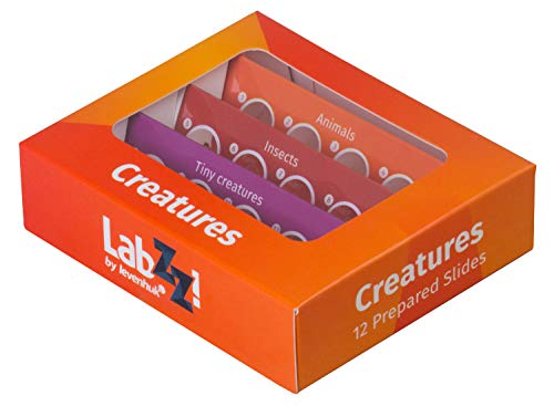 Levenhuk LabZZ C12 Creatures Set di Vetrini Preparati... - Jouets & Jeux Amazon Italie à 9.95€