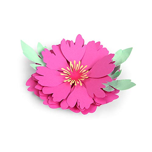 Sizzix Set di Fustelle Thinlits Peonia by Courtney Chilson... - Home & Kitchen Amazon Italy à 18.58€