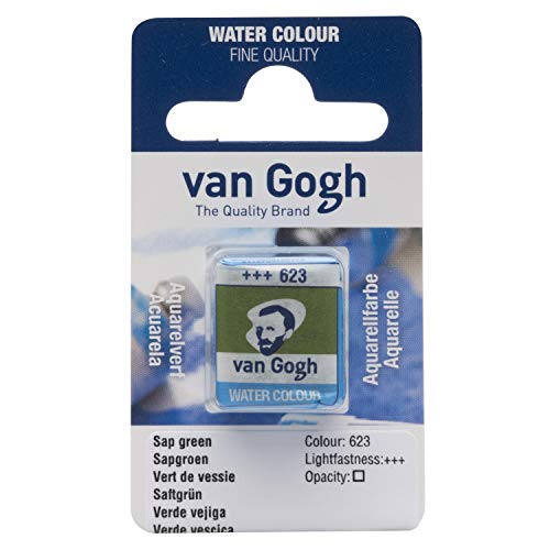 Van Gogh Peinture à l'eau, demi-panier, Vert de vessie 623 - Maison & Cuisine Amazon France à 2.00€