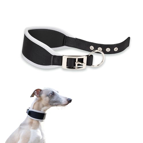 Ferplast Collier Chien ERGOCOMFORT C15/33, Collier pour... - Animalerie en promo à 10.00€