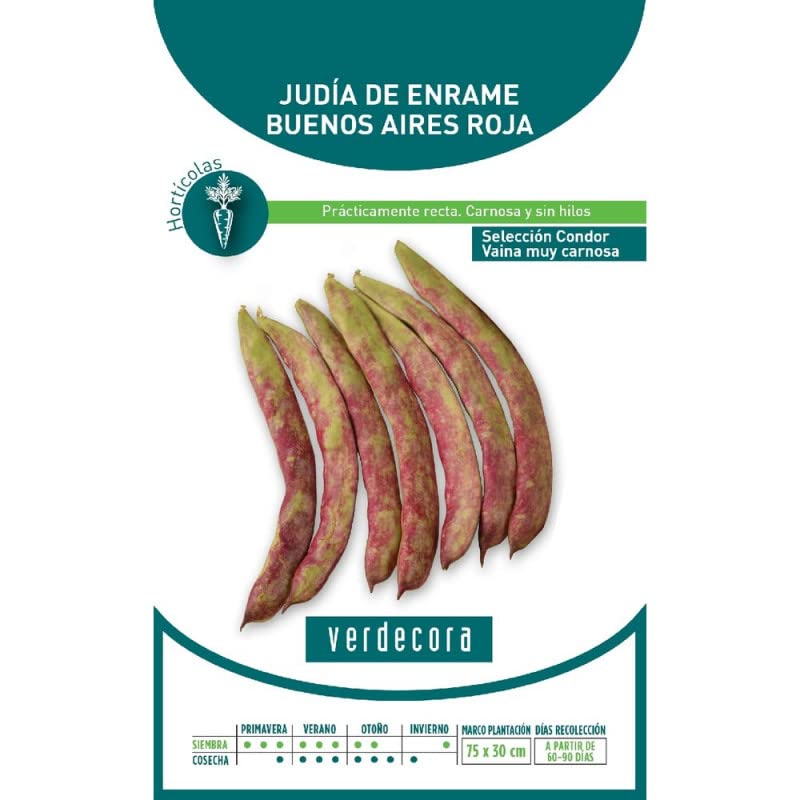 SEMILLAS JUDIA BUENOS AIRES ROJA VERDECORA - Jardin & Extérieur Amazon Espagne à 1.29€