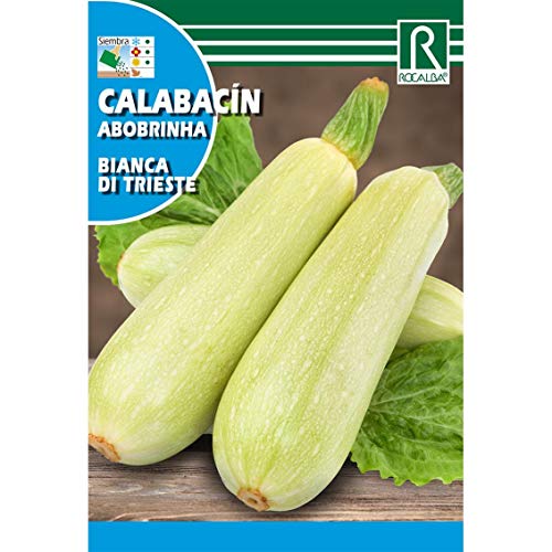 Semillas de Calabacín bianca di trieste - Calidad y... - Jardin & Extérieur Amazon Espagne à 1.95€