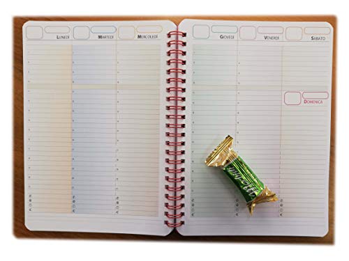 Agenda générique format A5 15 x 21 cm – 1 semaine sur 2... - Amazon France à 8.04€