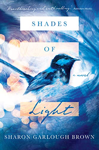 Shades of Light: A Novel - Bon plan à 3.75€