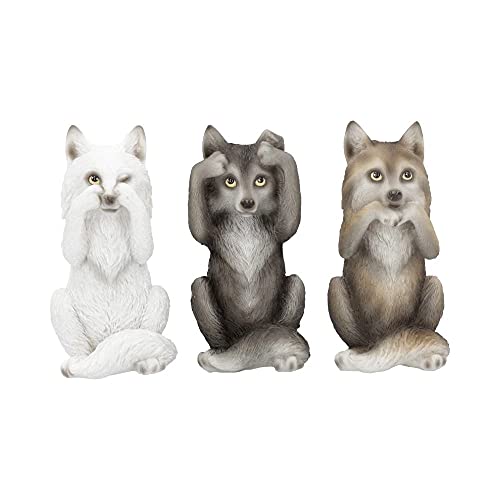 Nemesis Now B4472N9 Tre Lupi Saggi 10 cm Figurina, Resina... - Jouets & Jeux Amazon Italie à 21.07€