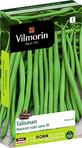 Vilmorin Haricot Talisman Boite 140g, Vert en promo à 8,99€ (-56%) sur Amazon FR