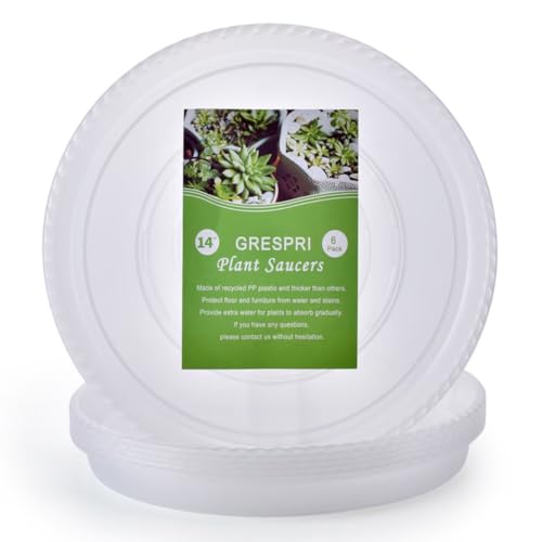 GRESPRI 6 Paquetes de platillos Transparentes de 14... - Jardin & Extérieur en promo à 21.34€