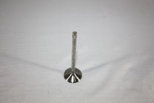 AUTOMEGA 130106910 Einlassventil für OPEL ZAFIRA B (A05) - Auto & Moto Amazon Allemagne à 6.68€