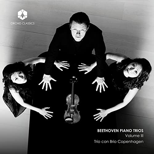 Ludwig van Beethoven: Piano Trios, Vol. III - Musique & Instruments Amazon Royaume-Uni à 3.45€