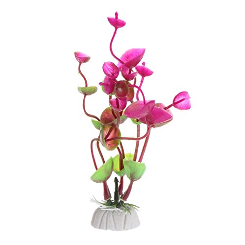 Ogquaton Plantes Aquatiques Décoration d'aquarium... - Animalerie en promo à 2.99€