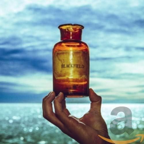 Blackfield V -Digi- - Musique & Instruments Amazon France à 11.92€