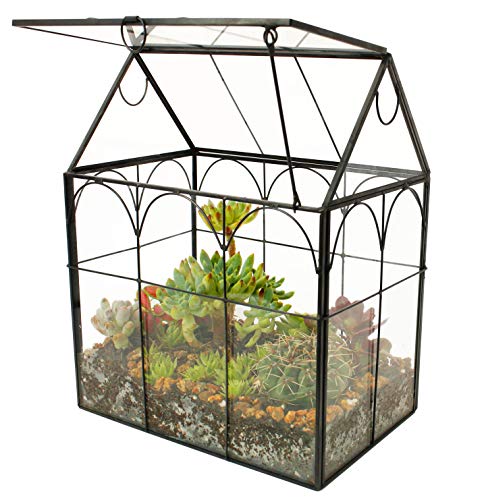 ElegantLife Geometrisches Terrarium aus Glas für... - Jardin & Extérieur Amazon Allemagne à 48.02€