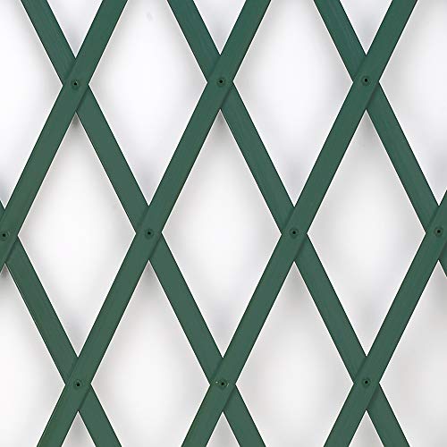 TENAX Treplas 1,00x3 m Grün, Ausziehbares Rankgitter als... - Garden & Outdoor Amazon Germany à 21.96€