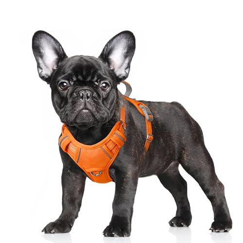 BARKBAY No Pull Dog Harness Large Step in Reflective Dog... - Sports & Fitness en promo à 13.28€