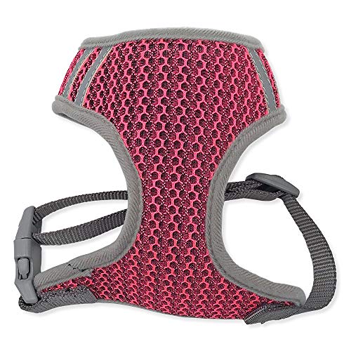Arquivet Petral rosa M - 30 cm / 35-50 cm - Animalerie Amazon Espagne à 4.17€