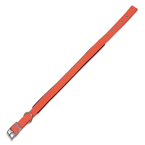 Arquivet Collar nylon naranja - 2,5 x 53 cm - Animalerie Amazon Espagne à 2.85€