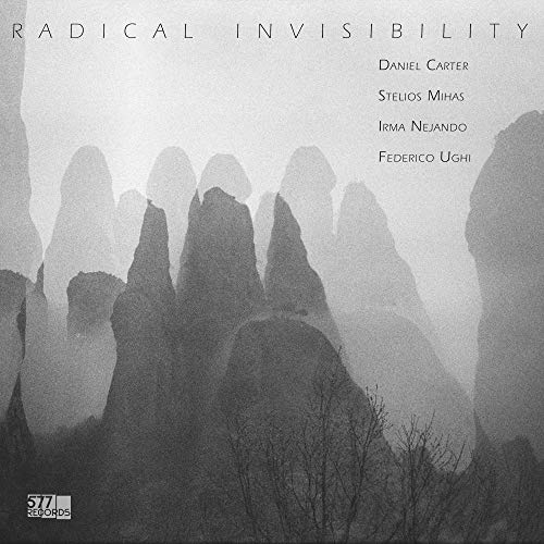 Radical Invisibility [Vinyl LP] - Maison & Cuisine Amazon Allemagne à 30.77€