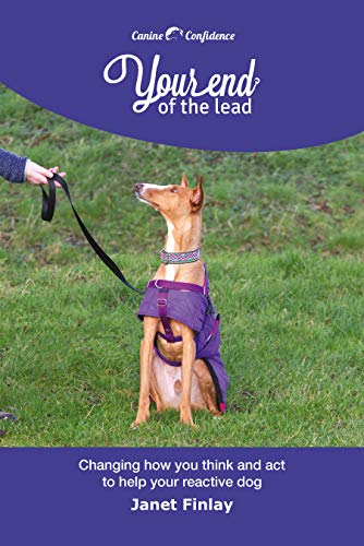 Your End of the Lead: Changing how you think and act to... - Amazon Royaume-Uni à 1.99€