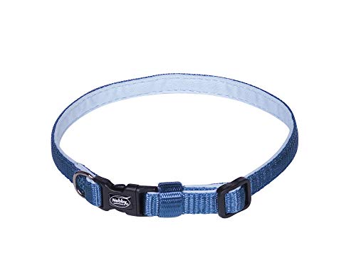 Nobby Classic Preno Mini Collar Length 20-35 cm Width 10 mm... - Maison & Cuisine Amazon Royaume-Uni à 6.03€
