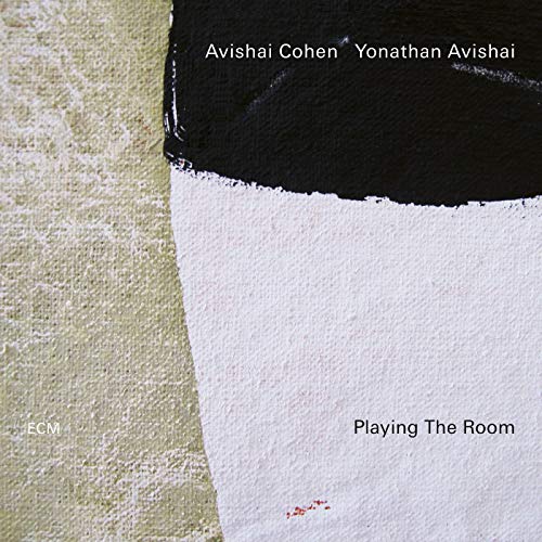 Playing the Room - Toys & Games Amazon France à 16.27€
