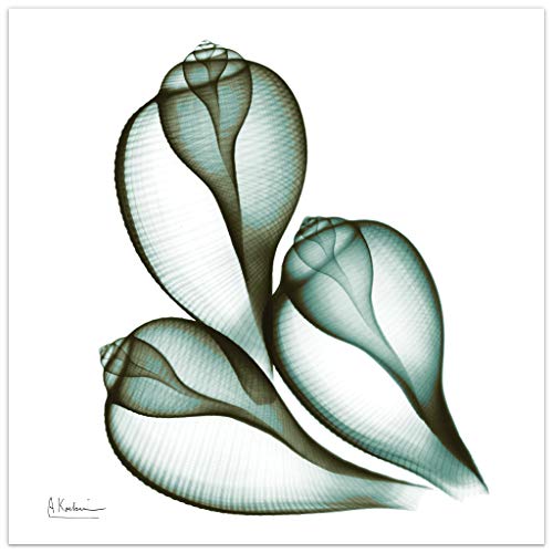 Empire Art Direct Coastal Serenity II Flower Wall Art su... - Maison & Cuisine en promo à 91.44€