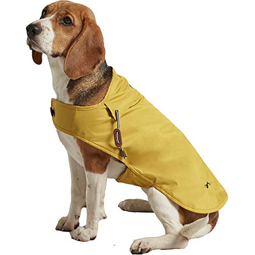 Rosewood Joules Manteau de Pluie doré Antique pour Chiens... - Animalerie Amazon France à 15.93€