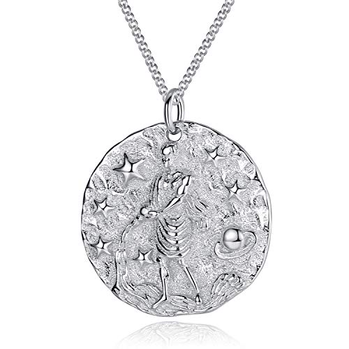 VIKI LYNN Collar de plata de ley 925 con signo del zodiaco... - Animalerie en promo à 14.92€
