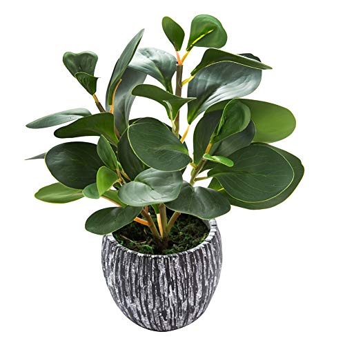 AlphaAcc Artificial Plants Real Looking and Touching Fake... - Garden & Outdoor Amazon UK à 26.97€