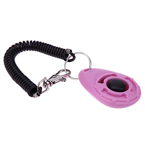 Danigrefinb Clicker para mascotas, forma ovalada portátil... - Animalerie Amazon Espagne à 1.79€